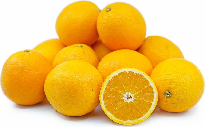 Organic Valencia Oranges 1 Orange