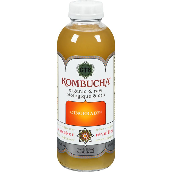 GT's Synergy Organic Kambucha (Gingerade) - 480ml