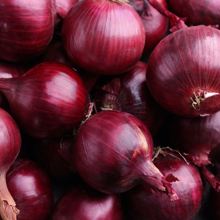 Red Onion (1 Onion)