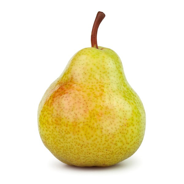 Bartlett Pear 1 Pear