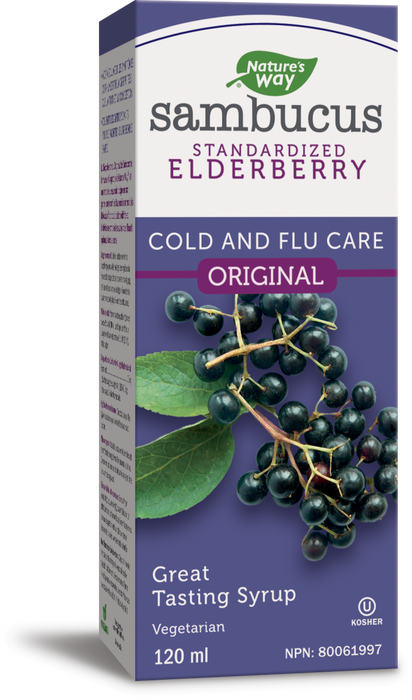 Nature's Way Sambucus Standardized Elderberry Cold and Flu Syrup - Original 120ML