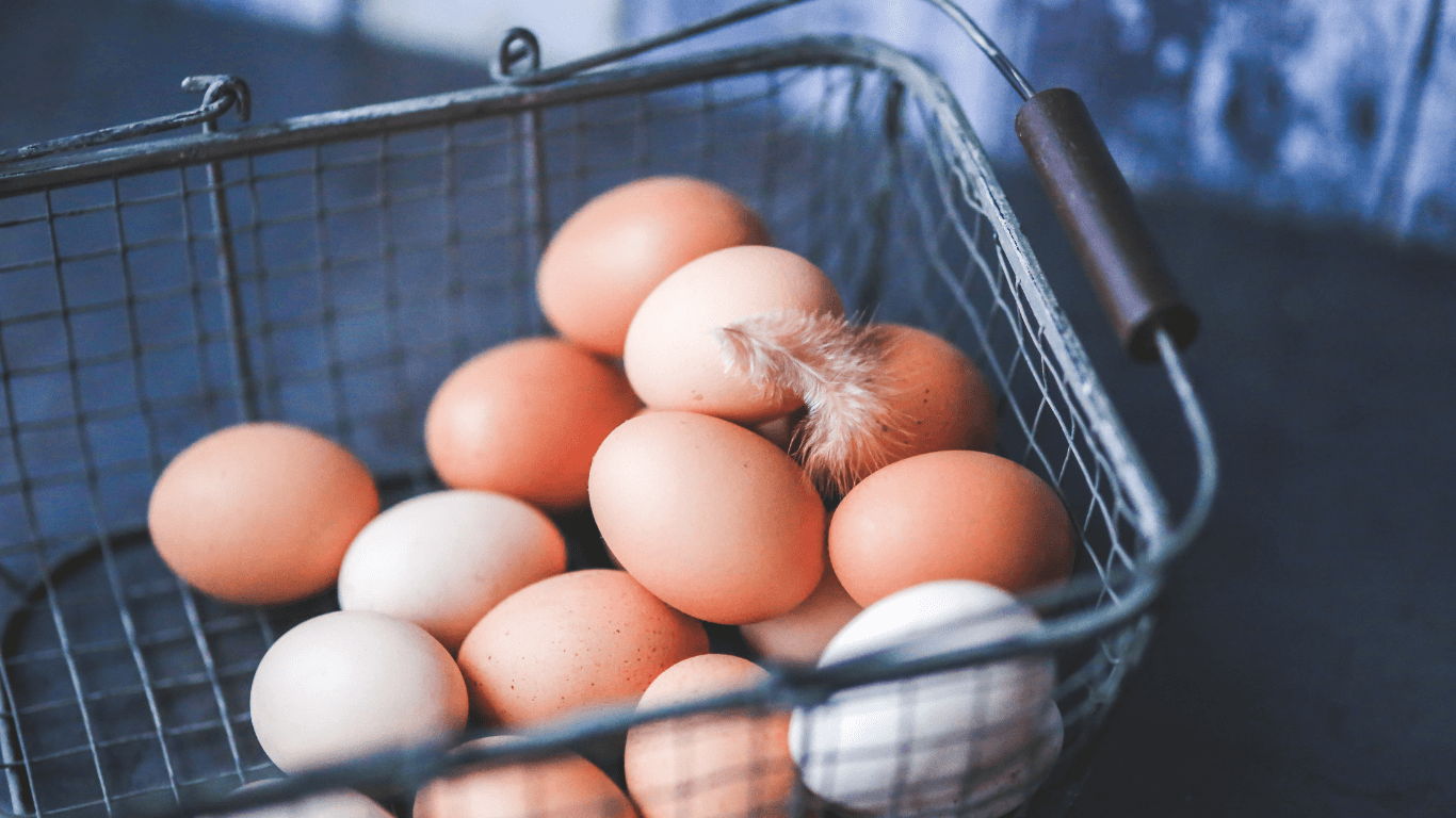 The Truth About Choosing the Best Poultry: Quality Eggs Without Compromising Animal Welfare