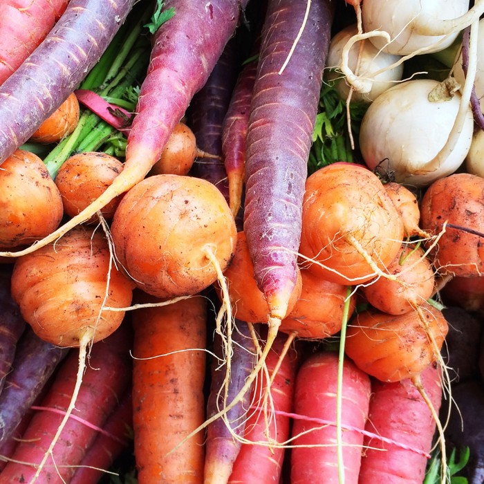 Nutritious and Delicious Root Vegetables: What to Eat in Fall
