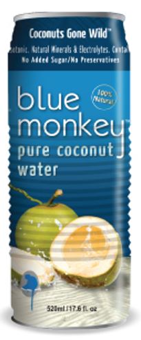 Blue Monkey Beverages - Pure Coconut Water with Pulp 520ml