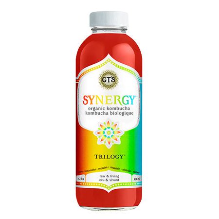 GT's Synergy Organic Kambucha (Spring Edition) - 480ml