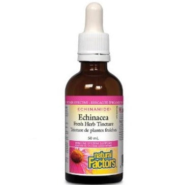 Natural Factors - Echinamide Echinacea Fresh Herb Tincture 50ml