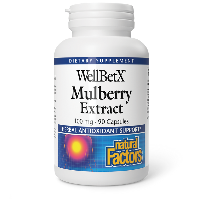 Natural Factors - WellBetX Mulberry Extract 100mg 90 Capsules