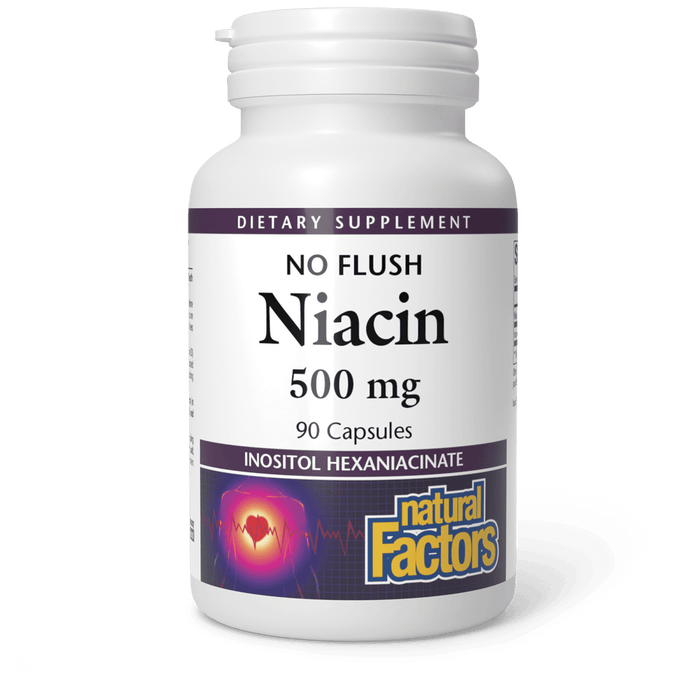 Natural Factors No-flush Niacin 500mg 90 Capsules