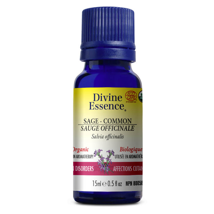 Divine Essence Frankincense Oil 5ml