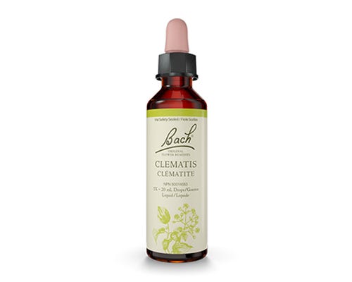 Bach Clematis  20ml