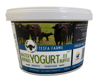 Tesfa Farms Water Buffalo Yogurt 500g