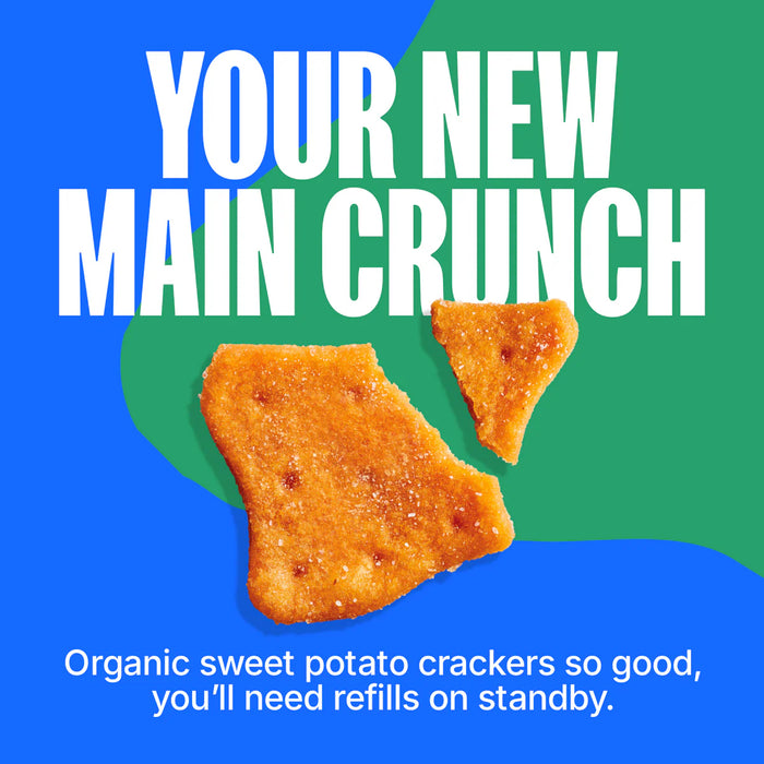 Made Good Snackers Organic Sweet Potato Crackers  – Salt & Vinegar, Gluten-Free (142g)