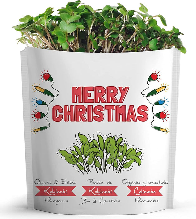 Gift a Green Merry Christmas Greeting Card – Kohlrabi Seeds That Grow (100g)