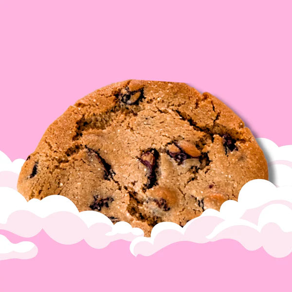 Nowhere Bakery The N'Oatmeal Cookie – Grain-Free, Vegan Soft-Baked Cookie (60g)