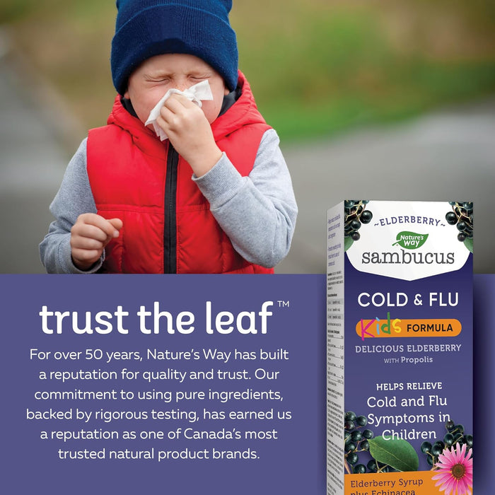 Nature's Way Sambucus, Elderberry Syrup Plus Echinacea, Cold & Flu Kids Formula  120ML