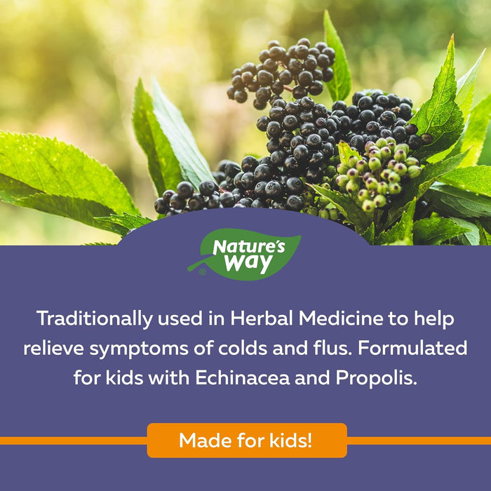 Nature's Way Sambucus, Elderberry Syrup Plus Echinacea, Cold & Flu Kids Formula  120ML