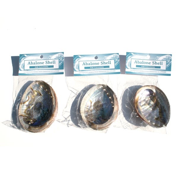 Nature's Expression Abalone Shell for Cleansing
