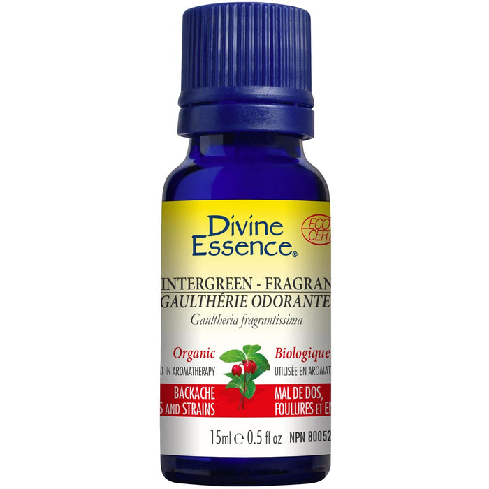 Divine Essence Wintergreen-Fragrant Essential Oil Organic - Bachache, Sprains and Strains. 15ml