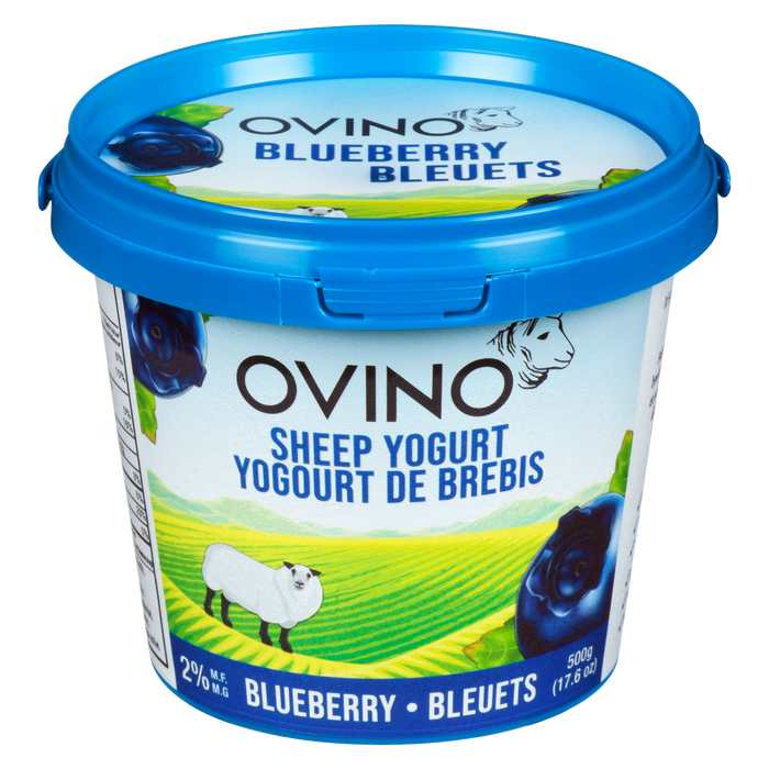Ovino Sheep Yogurt - Blueberry 500g