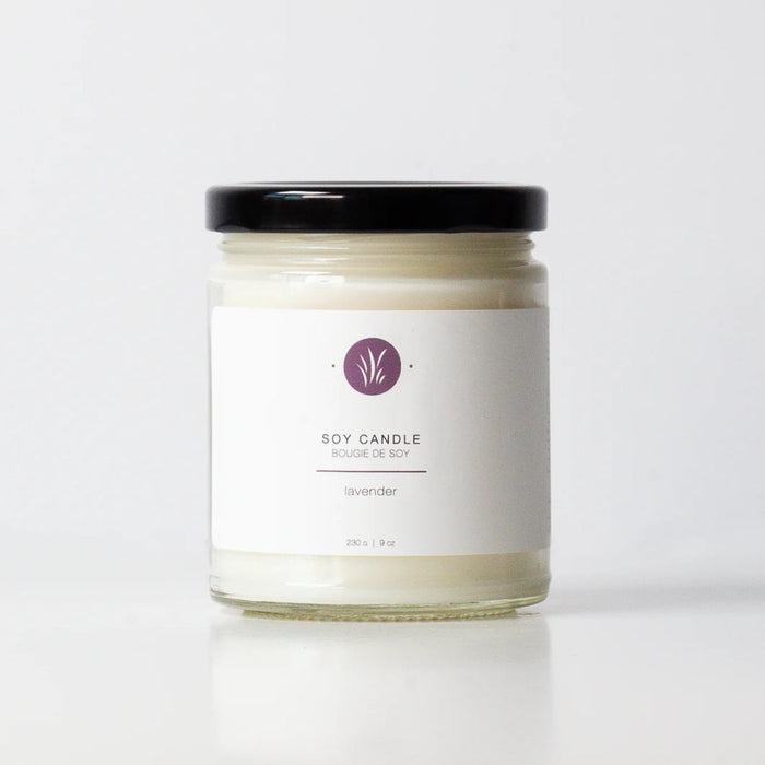 Jill Lavender Soy Candle  240g