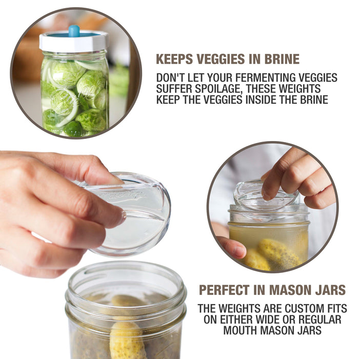 Masontops Pickle Pebble - glass fermentation weights - Wide Mouth- Box of 4 1each