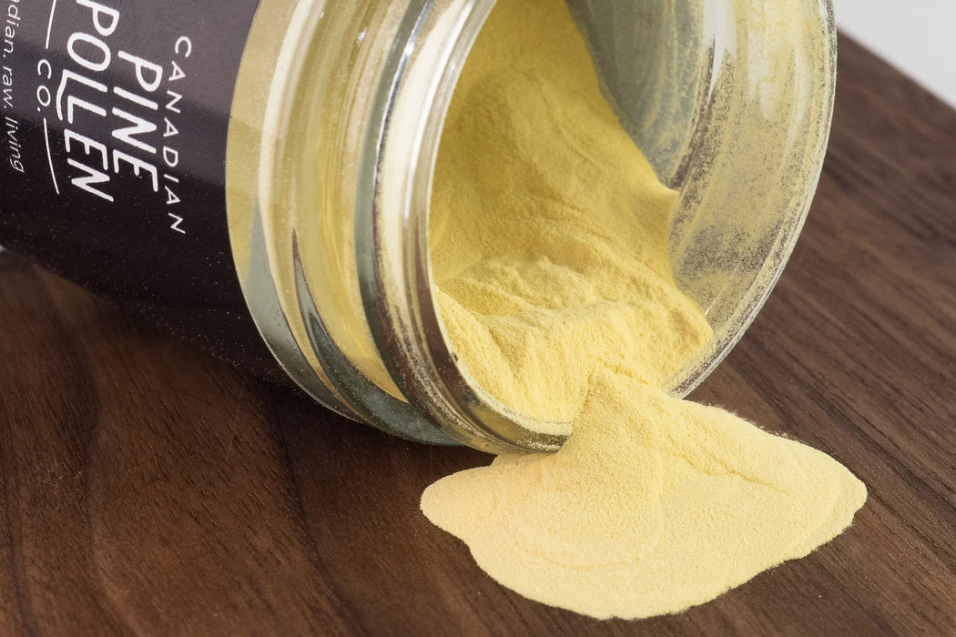 Canadian Pine Pollen - Lodgepole Pine 30g