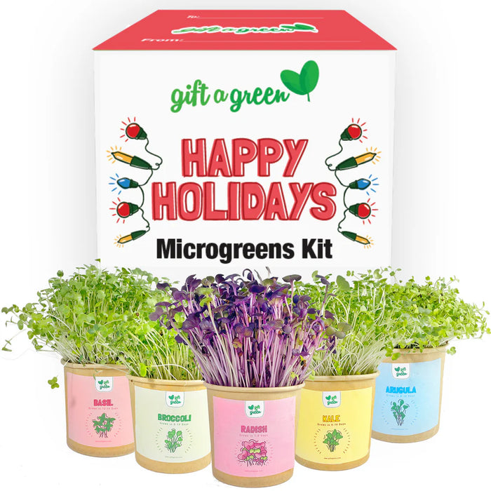 Gift a Green Microgreens Holiday Kit – Kale, Broccoli, Arugula, Basil & Radish (10.6oz) 10.6oz.