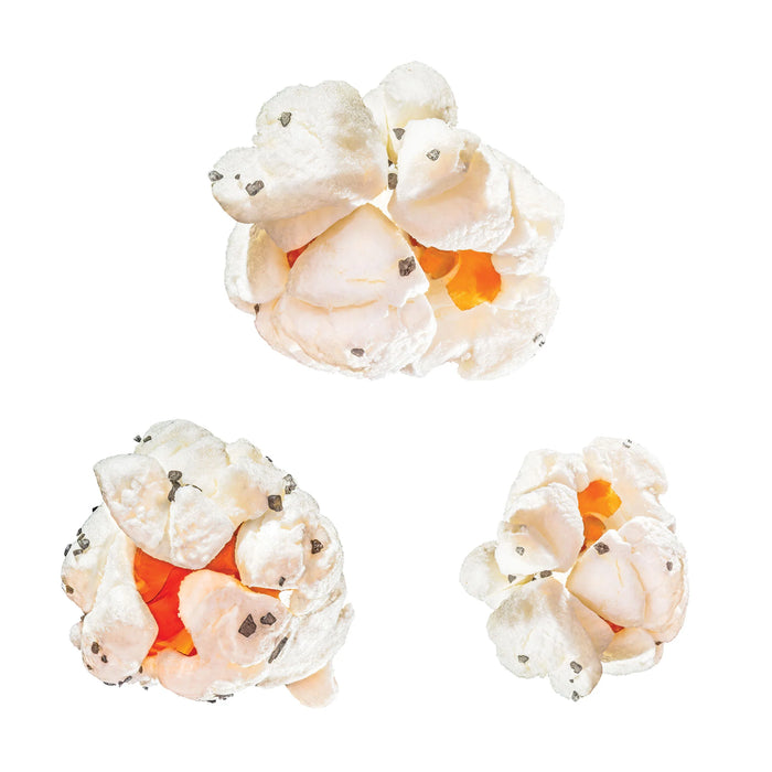 Poptastic Black Sea Salt Pocorn 130g