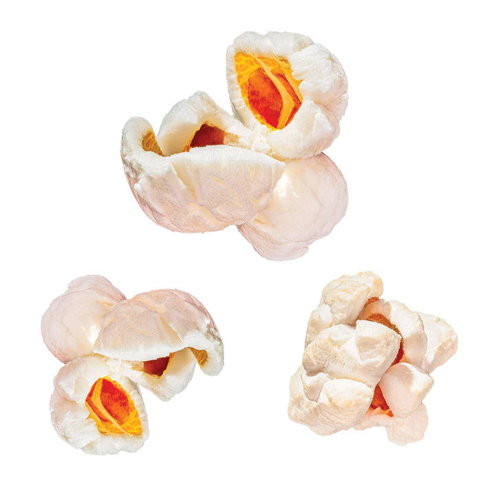 Poptastic Honey Salted Popcorn 130g