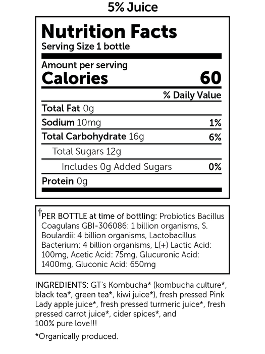 GT'S Living In Gratitude Kombucha 480ml
