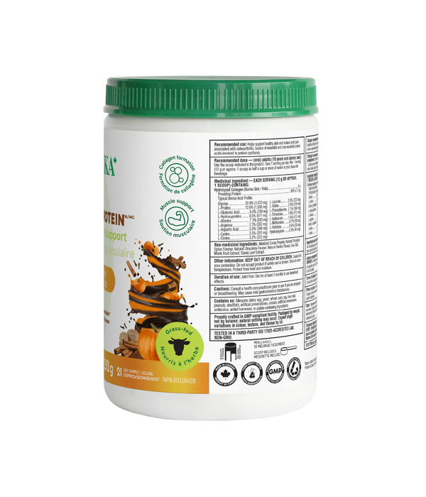 Organika Enhanced Collagen Protein – Chocolate Pumpkin Spice Collagen Powder (252g)