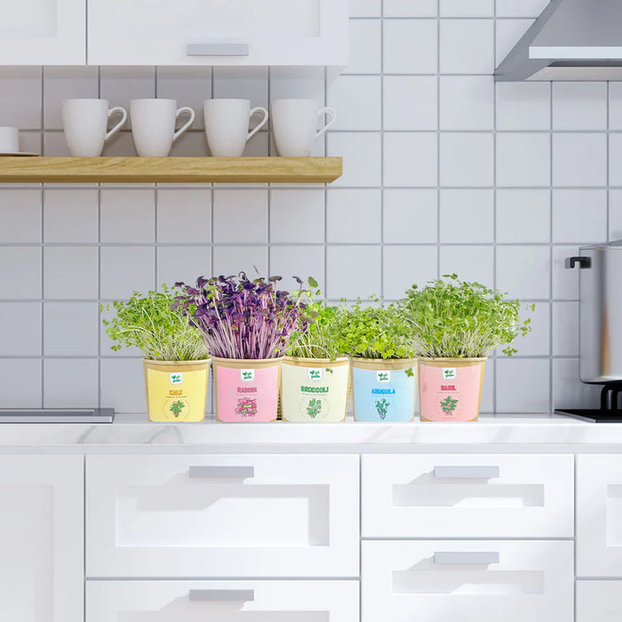 Gift a Green Microgreens Holiday Kit – Kale, Broccoli, Arugula, Basil & Radish (10.6oz) 10.6oz.