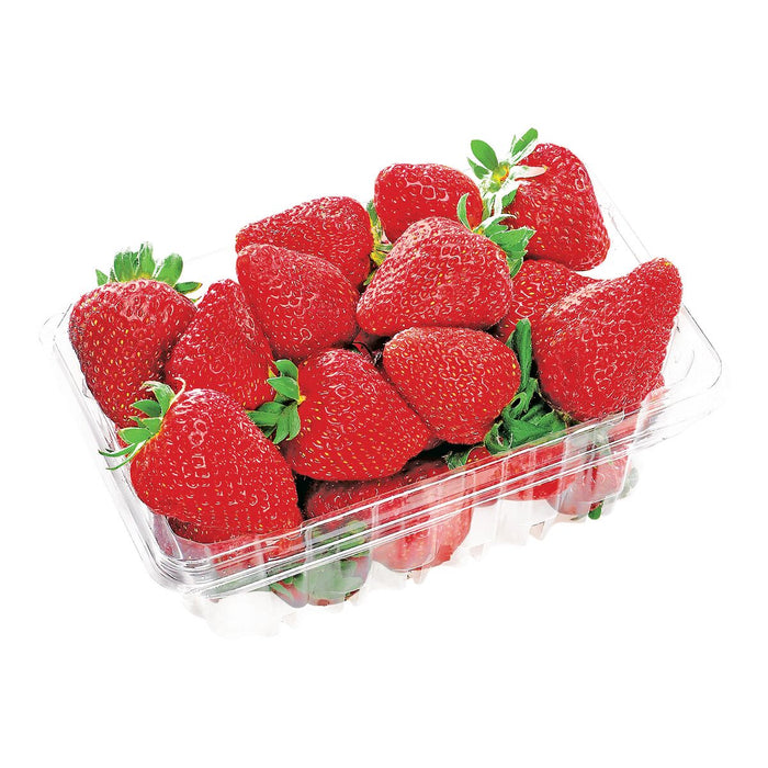 Fresh Organic Strawberries 454g