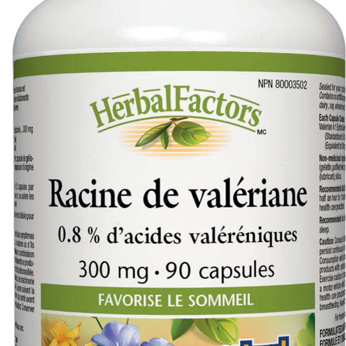 Natural Factors - Valerian Root 300mg (0.8% Valerenic Acid) 90 Capsules