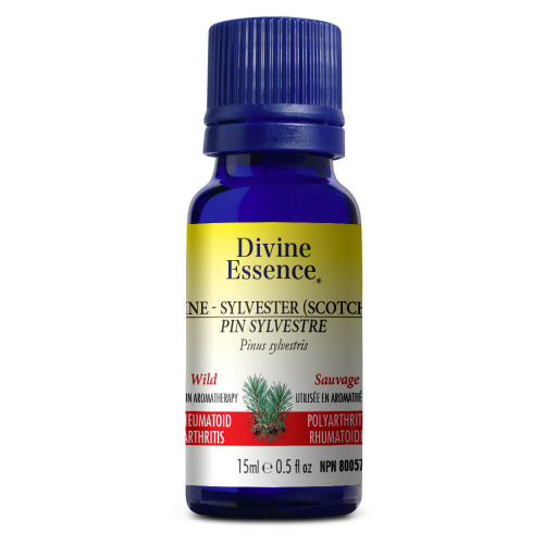 Divine Essence Pine-Sylvester(Scotch) Essential Oil Wild Harvested - Rheumatoid Arthritis. 15ml