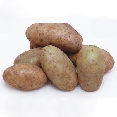 Organic Russet Potato (1 Potato)
