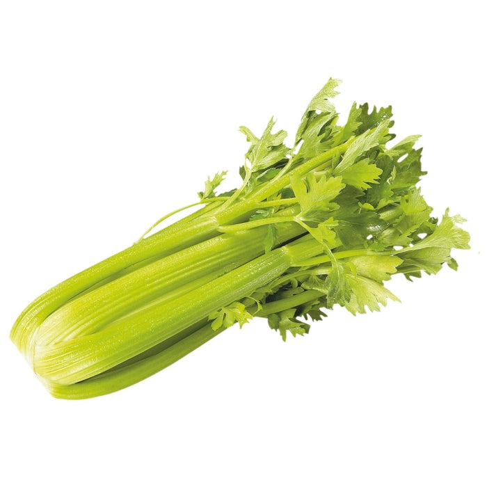 Organic Celery 1 Bundle