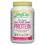 VegiDay Raw Organic 100% Plant-Based Protein (Berry) 972g