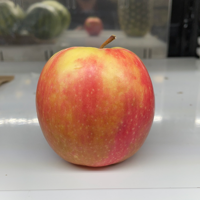 Organic Red Apple  (1 Apple)