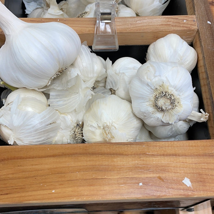 Organic White Garlic (1 Garlic Bulb)