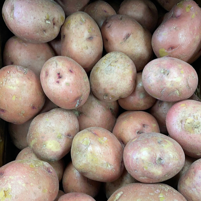 Organic Red Potato (1 Potato)
