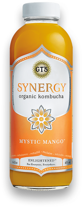 GT's Synergy Organic Kambucha (Mystic Mango) - 480ml
