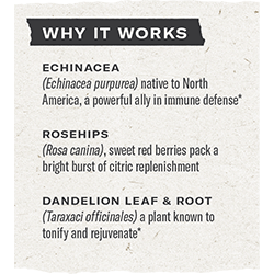 Numi Organic Herbal Echinacea Ally Tea with Rosehips & Dandelion 32g